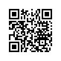 516004048 RH SIDE DECAL