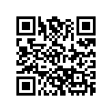 516004083 RH LOWER DECAL