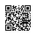 516004088 LH SIDE DECAL