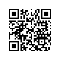 516004112 LH SIDE DECAL