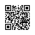516004139 RH LOWER DECAL