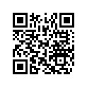 516004162 Decal 600