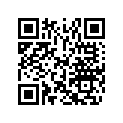 516004256 RH LOWER DECAL