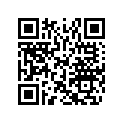 516004277 Decalque       *decal (black-black Model