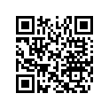 516004284 RH KNEE DECAL