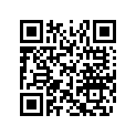 516004313 LH SIDE DECAL