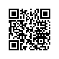 516004322 RH Side Decal