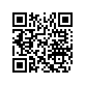 516004323 LH Lower Decal