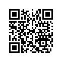 516004324 RH Lower Decal