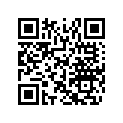 516004387 SIDE DECAL