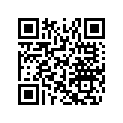 516004395 RH LOWER DECAL