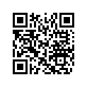 516004408 RH LOWER DECAL