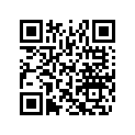 516004678 RH SIDE DECAL