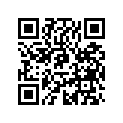 516004691 RH SIDE DECAL