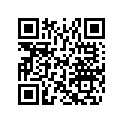516004770 LH LOWER DECAL