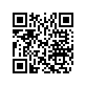 516004772 LH Side Decal