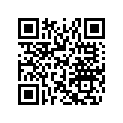 516004799 DECAL, REV XP