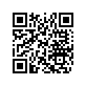 516004846 RH SIDE DECAL