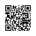 516004850 LH TRANSITION DECAL