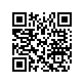 516004874 LH SIDE DECAL