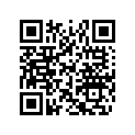 516004877 RH LOWER DECAL