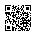 516004890 SIDE DECAL, MXZ