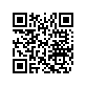 516004968 LH SIDE DECAL