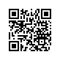 516005163 Decal, REV XM