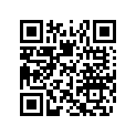 516005255 RH Side Decal