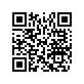 516005277 RH LOWER DECAL