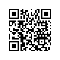 516005294 RH LOWER DECAL