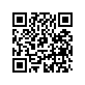 516005546 LH Transition Decal