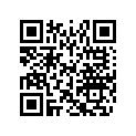 516005608 RH SIDE DECAL