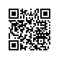 516006062 RH Decal, X