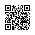 516006277 DECAL, REV XR