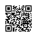 516006451 LH FRAME DECAL