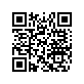 516006463 RH Side Decal