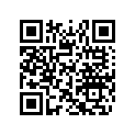 516006499 LH Side Decal