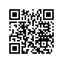 516006532 Decal &quotREV XP" Black/Orange/Silv