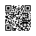 516006555 RH LOWER DECAL