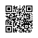 516006674 BAG DECAL