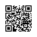 516006723 Decal, REV XR