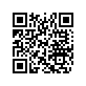 516006925 RH Decal, XRS