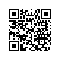 516007176 RH Side Decal, XRS