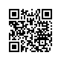 516007186 LH Decal, XRS