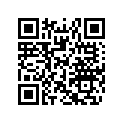 516007187 RH Decal, XRS