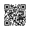 516007343 RH DECAL, 137