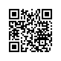516007845 RH Lower decal