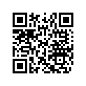 516008197 Decal, Summit B for BURTON