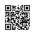 516008206 Oil Level Decal